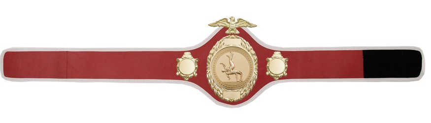 WRESTLING CHAMPIONSHIP BELT-PRO288/S/WRES - 10 COLOURS